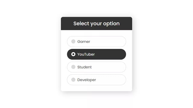 Awesome Custom Radio Buttons using only HTML & CSS